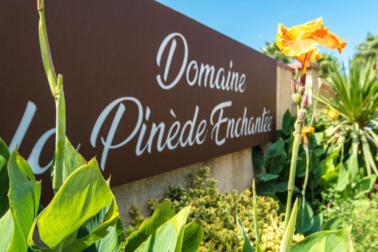 Domaine La Pinede Enchantee 아르젤레쉬르메르 외부 사진